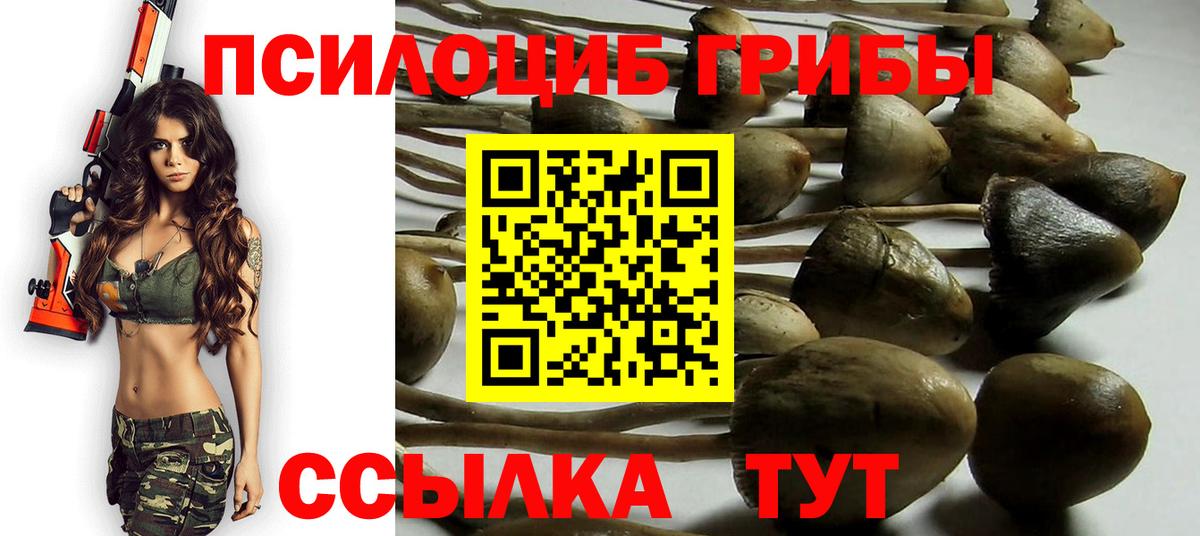 Псилоцибиновые грибы Magic Shrooms Хабаровск